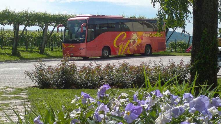 Noleggio Autobus con Autista