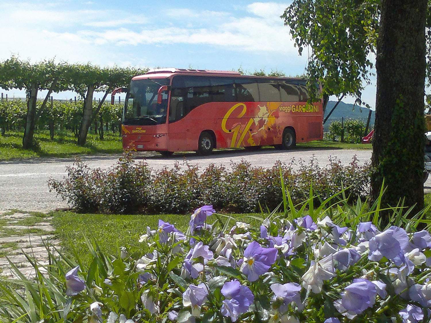 Noleggio Autobus con Autista